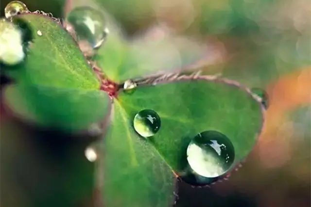 640 (1)_wps图片.png