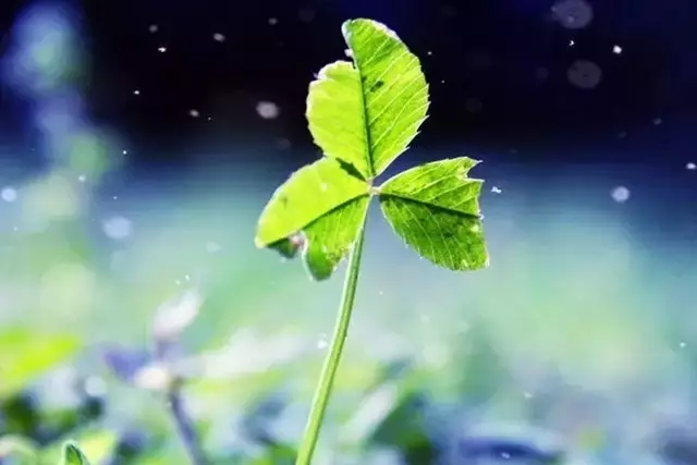 640 (2)_wps图片.png